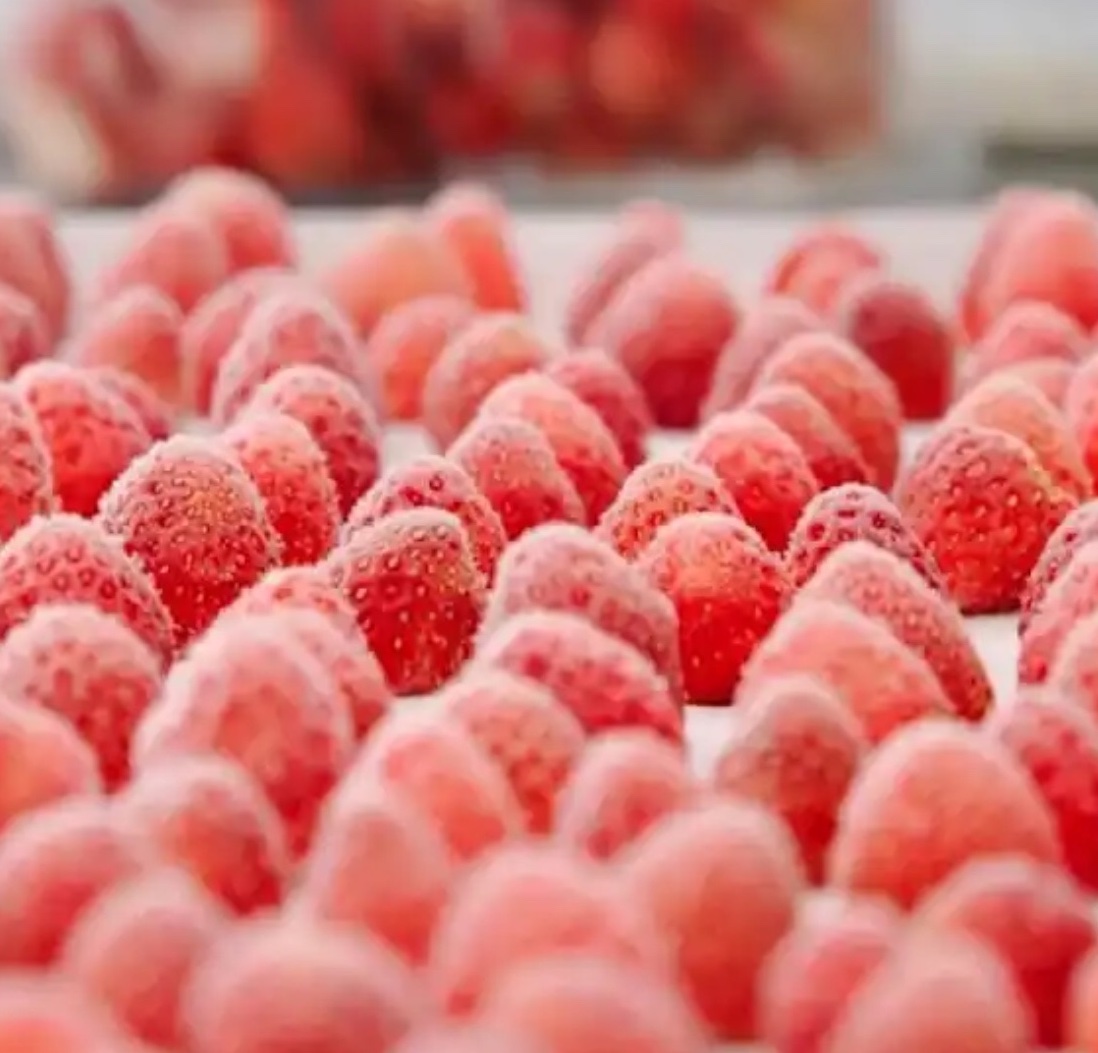 Horizontal plate freezers | Tucal